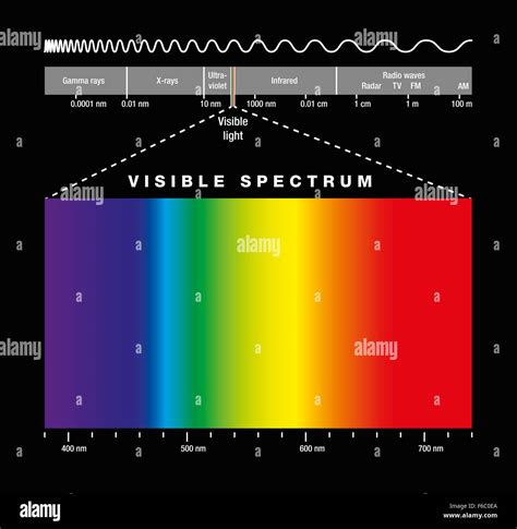 espectro de luz - putas de sp